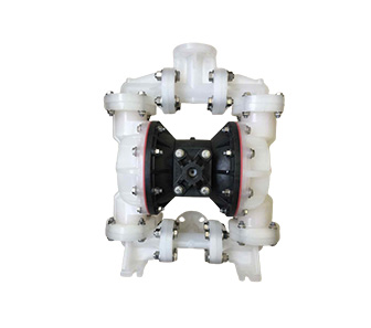 1 (25mm) B1F Non-metallic Pump