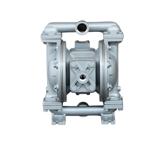 1 (25mm) B1F-L Non-metallic Pump